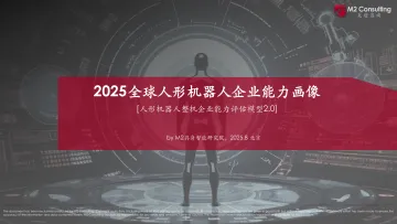 2025全球人形机器人企业能力画像整机能力评估模型V2.0-觅途咨询 听光Vic