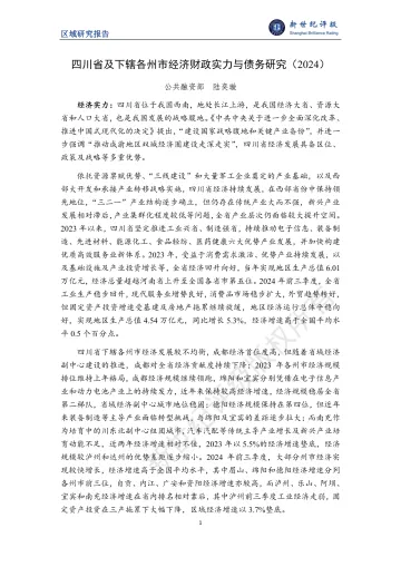四川省及下辖各州市经济财政实力与债务研究(2024)-31页_1
