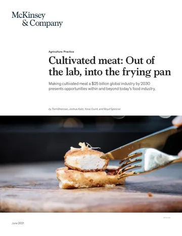 人造肉报告:走出实验室 进入餐桌(英)-10页-WN10