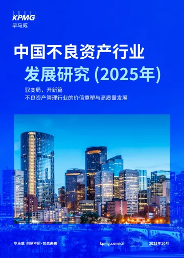 中国不良资产行业发展研究(2025年):驭变局,开新篇,不良资产管理行业的价值重塑与高质量发展-毕马威 听光Vic