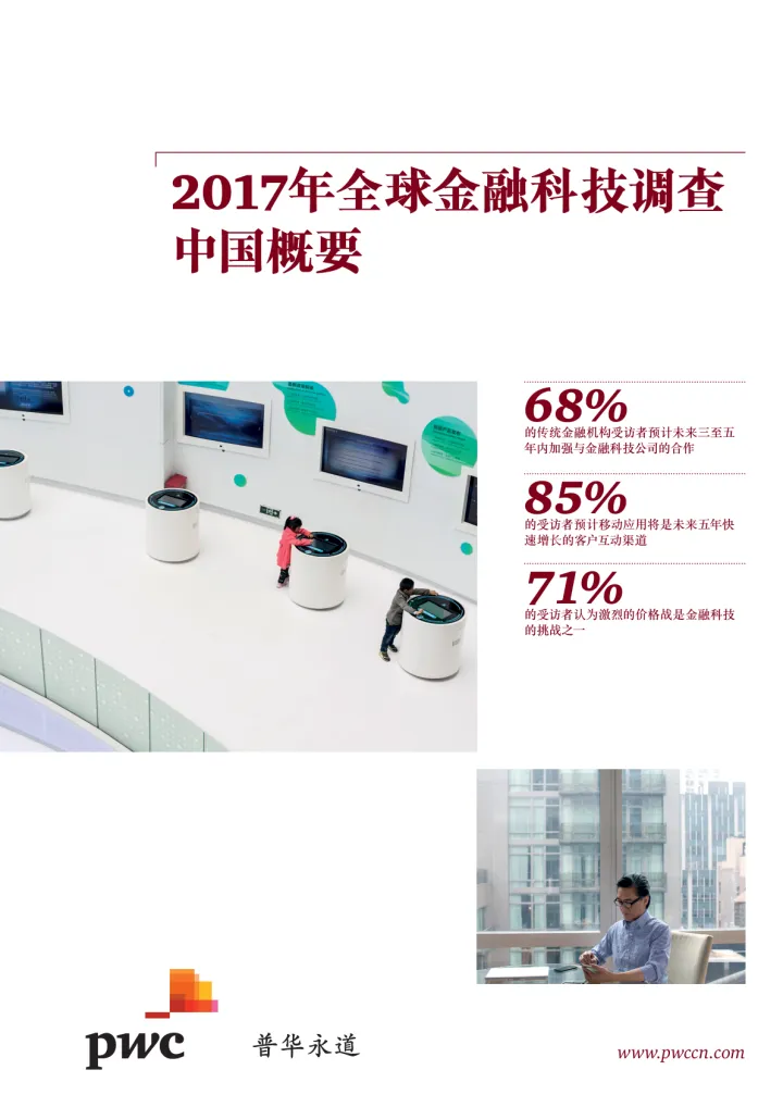 2017年全球金融科技调查中国概要