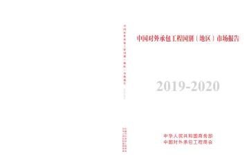 中国对外承包工程国别(地区)市场报告(2019-2020)-311页