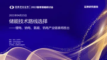 2022春季策略研讨会_锂电、钠电、氢能、钒电行业产业链谁将胜出:储能技术路线选择-20220405-国泰君安-56页