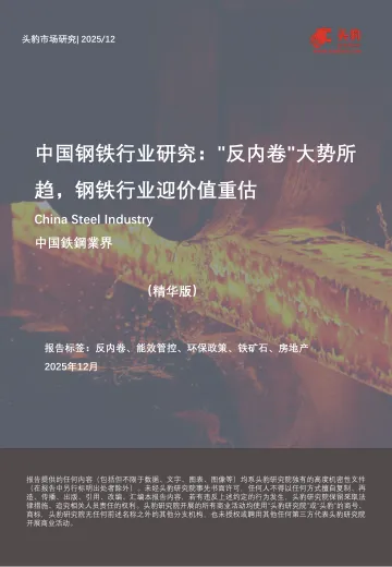 中国钢铁行业研究: 反内卷 大势所趋,钢铁行业迎价值重估(精华版)-头豹研究院 听光Vic_1