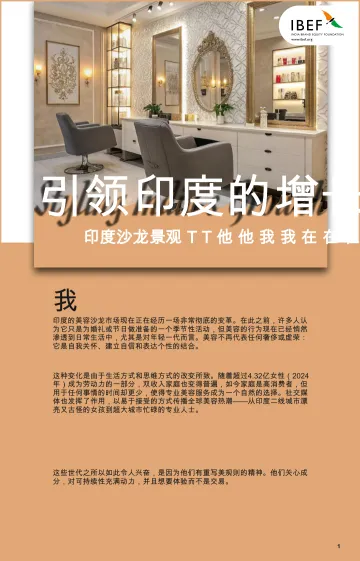 印度沙龙景观：引领印度的增长-印度品牌资产基金会 听光Vic