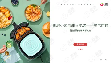厨房小家电——“空气炸锅”社媒电商分析报告-果集数据-202203-30页