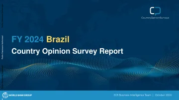 世界银行-2024财年巴西国家意见调查报告(英)-2024