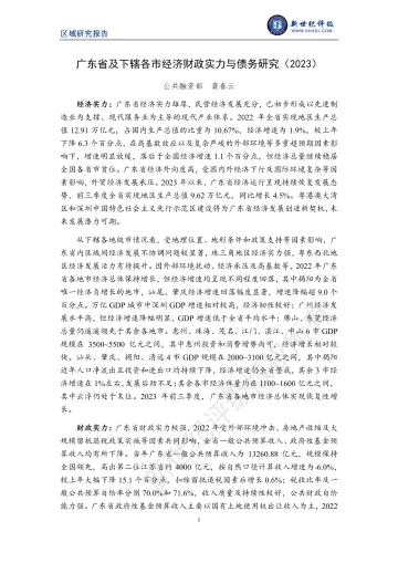 新世纪评级-广东省及下辖各市经济财政实力与债务研究（2023）-28页-WN11