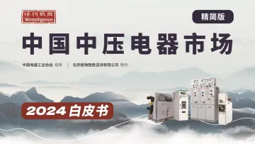 格物致胜-2024中国中压电器行业市场白皮书(精简版)