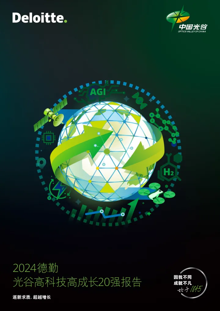 2024年光谷高科技高成长20强报告-德勤-52页_1