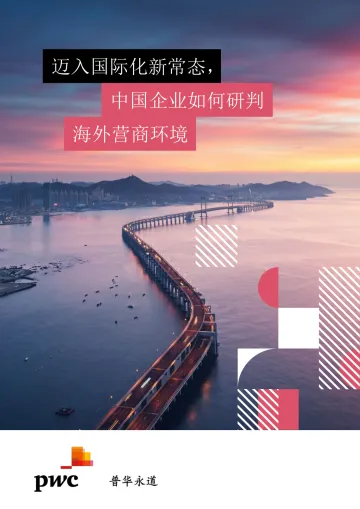 迈入国际化新常态,中国企业如何研判海外营商环境-2023.11-16页-WN11