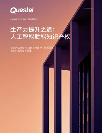 2025年知识产权行业前瞻研究:生产力提升之道:人工智能赋能知识产权 听光Vic