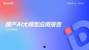 2024国产AI大模型应用报告-点点数据