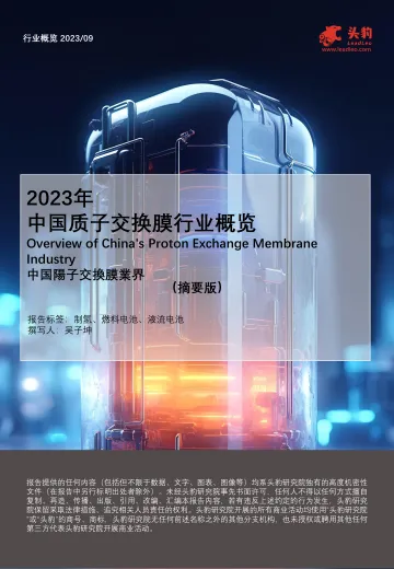2023年中国质子交换膜行业概览(摘要版)-头豹 听光Vic_1