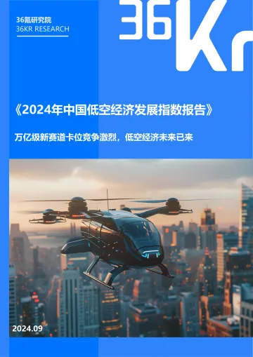 2024年中国低空经济发展指数报告-36氪研究院-2024.9-41页