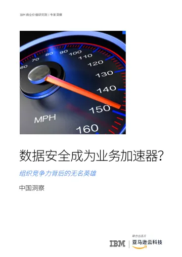 IBM-数据安全成为业务加速器?组织竞争力背后的无名英雄—中国洞察-29页-WN11