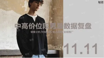 淘宝天猫+2024双十一中高价位段男装数据复盘-31页