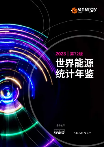 能源研究院-2023世界能源统计年鉴-2023-64页-WN10
