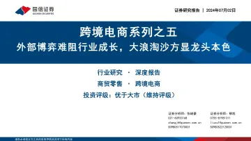跨境电商系列之五:外部博弈难阻行业成长,大浪淘沙方显龙头本色-国信证券 听光Vic