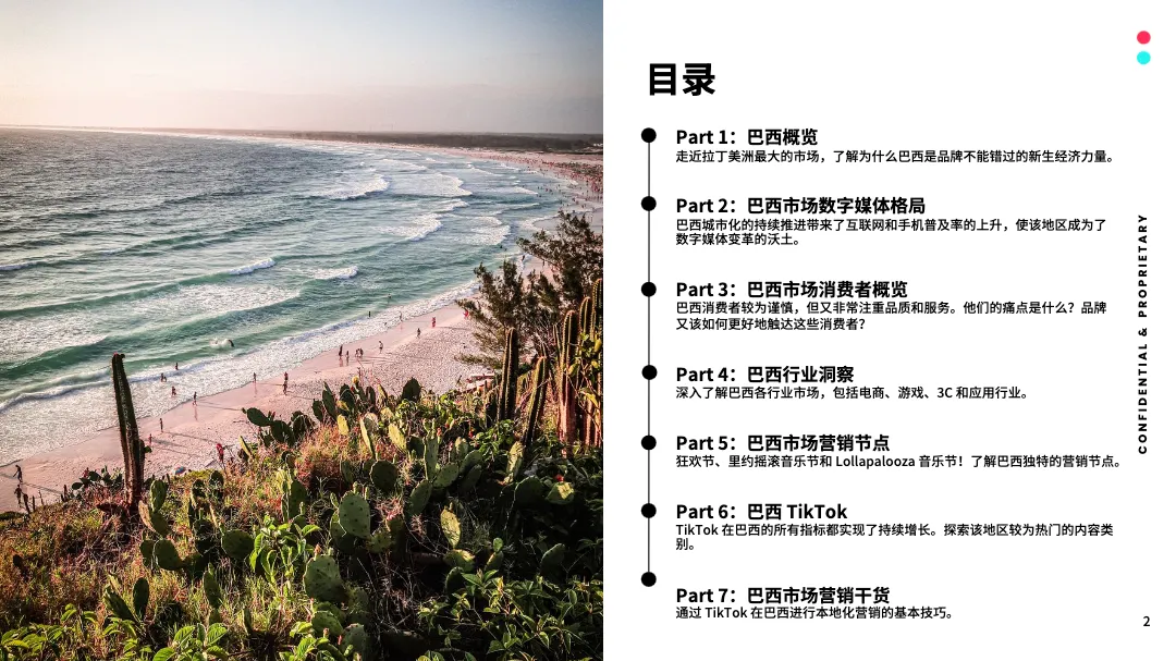 2024全球市场百宝书-巴西篇_大数跨境