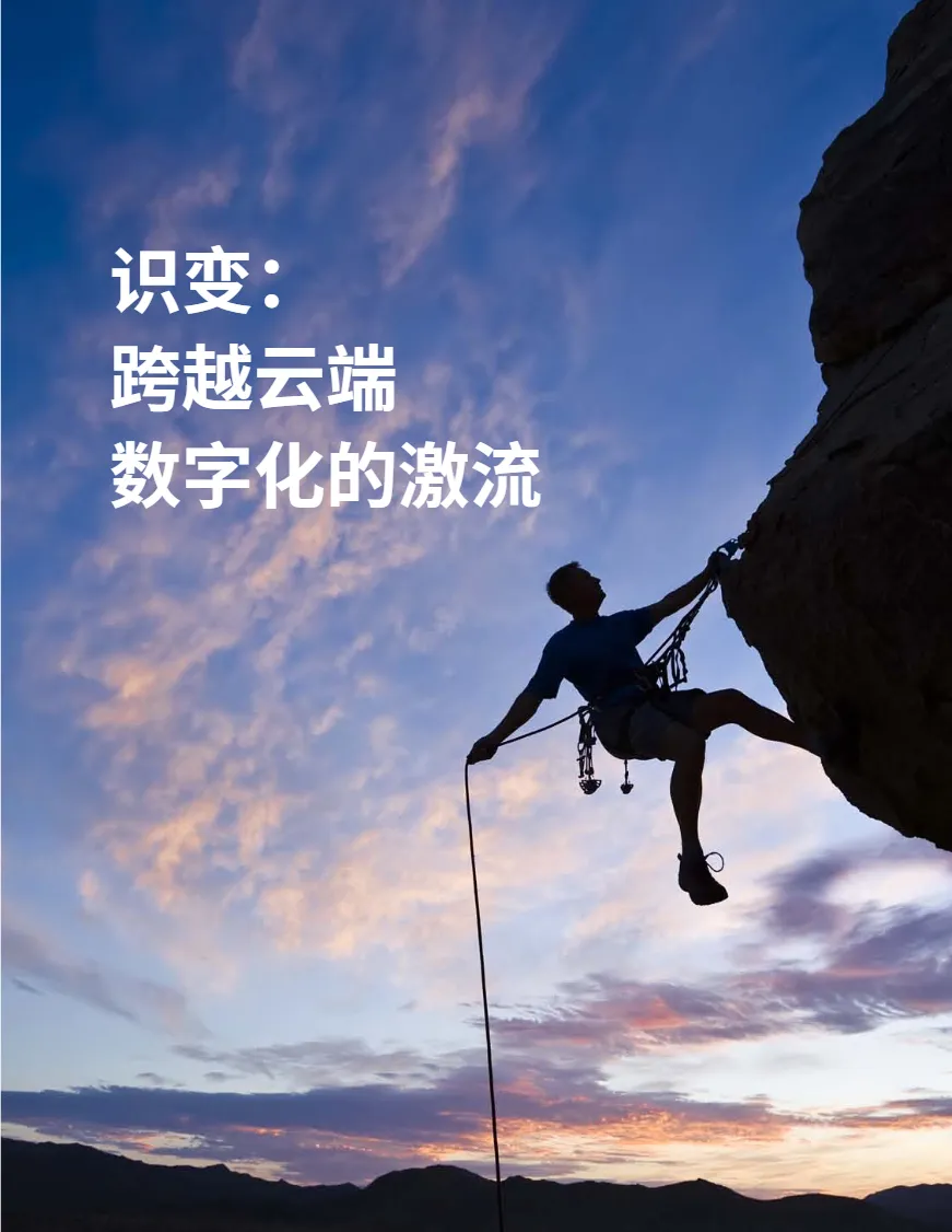 纷享销客2025年自研or外采CRM橙皮书73页- 大数跨境