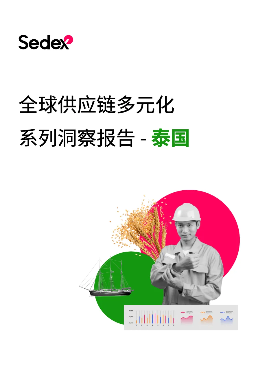 2024全球供应链多元化系列洞察报告 - 泰国_大数跨境