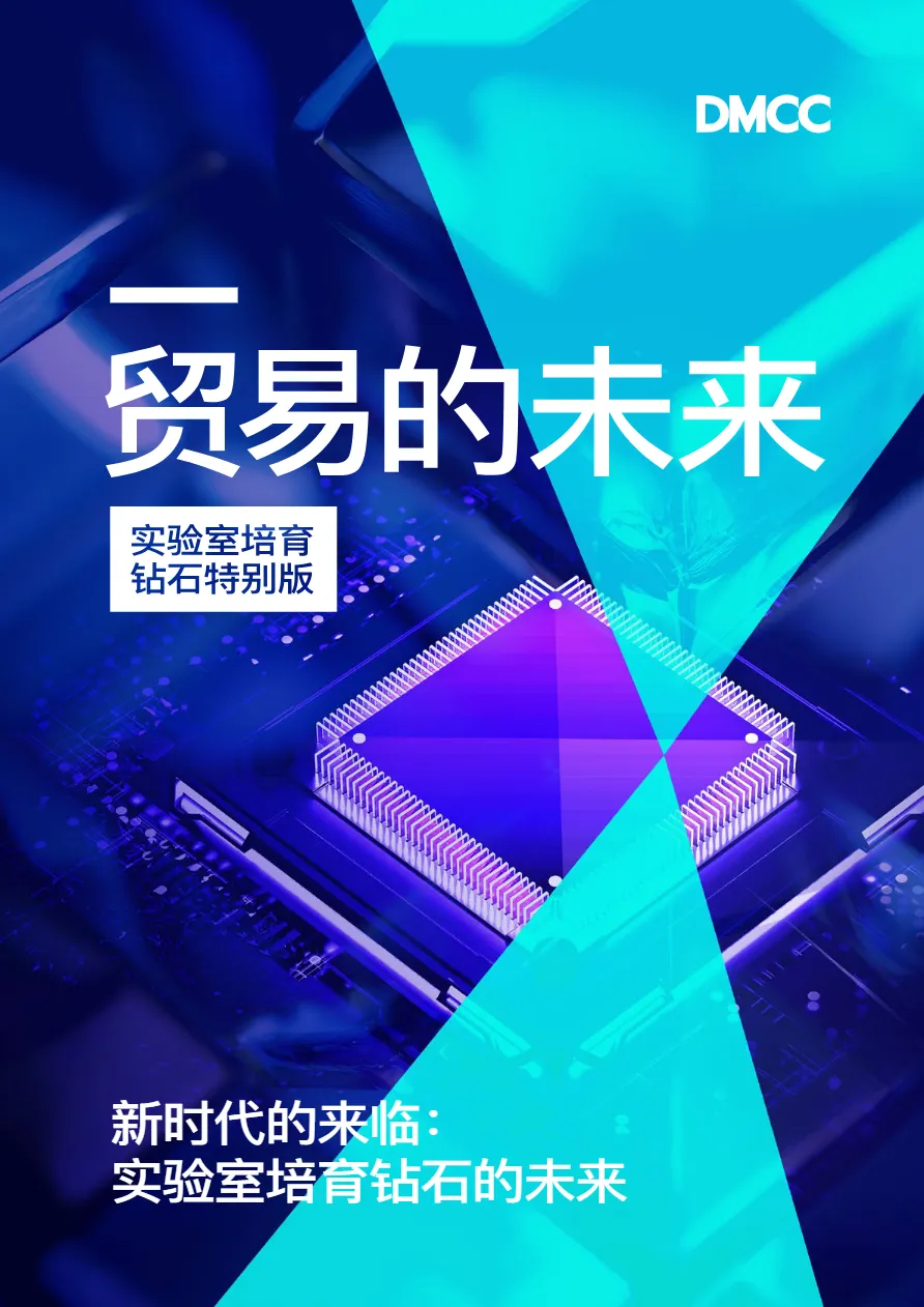 DMCC2023贸易的未来实验室培育钻石特别版15页_大数跨境