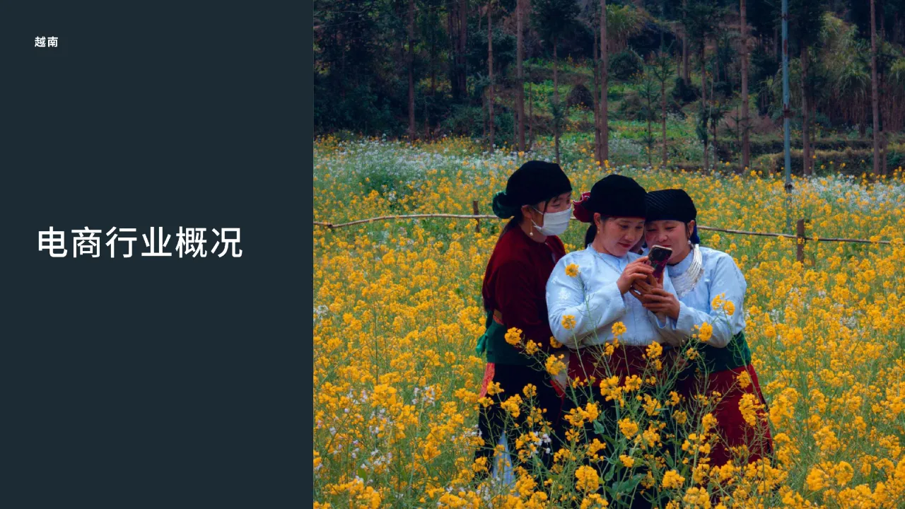 Meta开拓新市场攻略-越南篇-进入越南市场需了解的必备资讯和建议202354页- 大数跨境