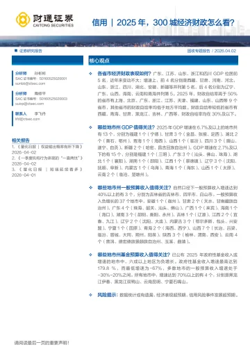 信用|2025年,300城经济财政怎么看?-260402-财通证券-14页