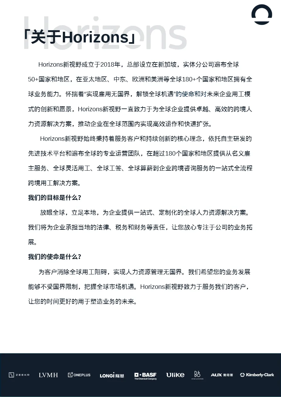 Horizons2025越南出海白皮书21页_大数跨境