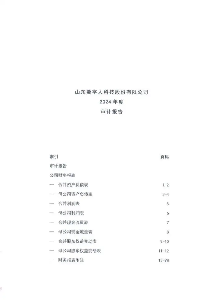 <em>数字</em><em>人</em>_[临时公告]<em>数字</em><em>人</em>2024年度审计报告