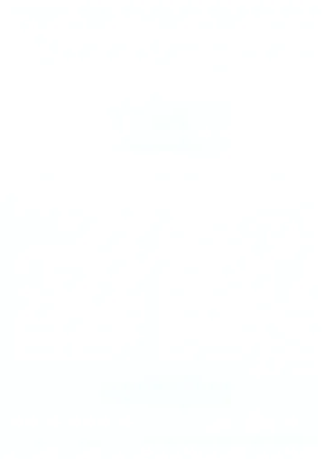 数字人_[临时公告]数字人2025年审计报告