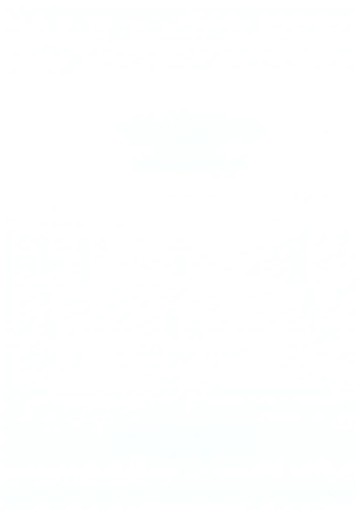 <em>数字</em><em>人</em>_[临时公告]<em>数字</em><em>人</em>2025年审计报告