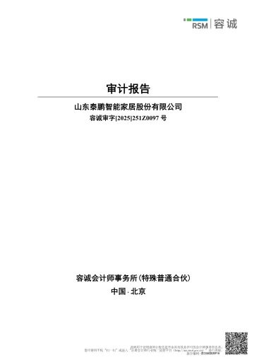 泰鹏智能_[临时公告]泰鹏智能2024年度审计报告