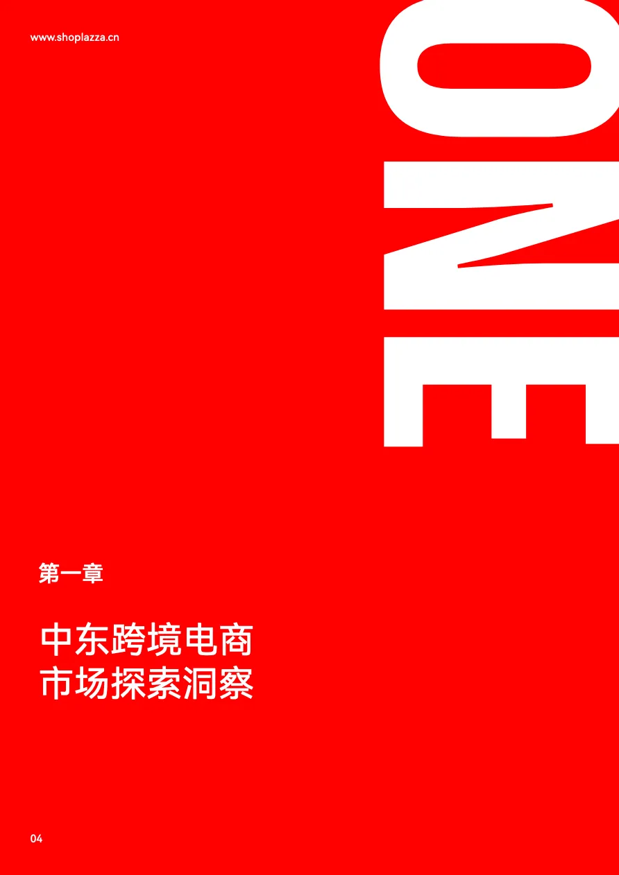 2023中东跨境电商白皮书_大数跨境