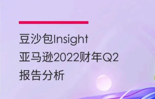 2022亚马逊跨境报告