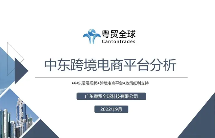 2022年中东跨境电商<em>平台</em>分析报告