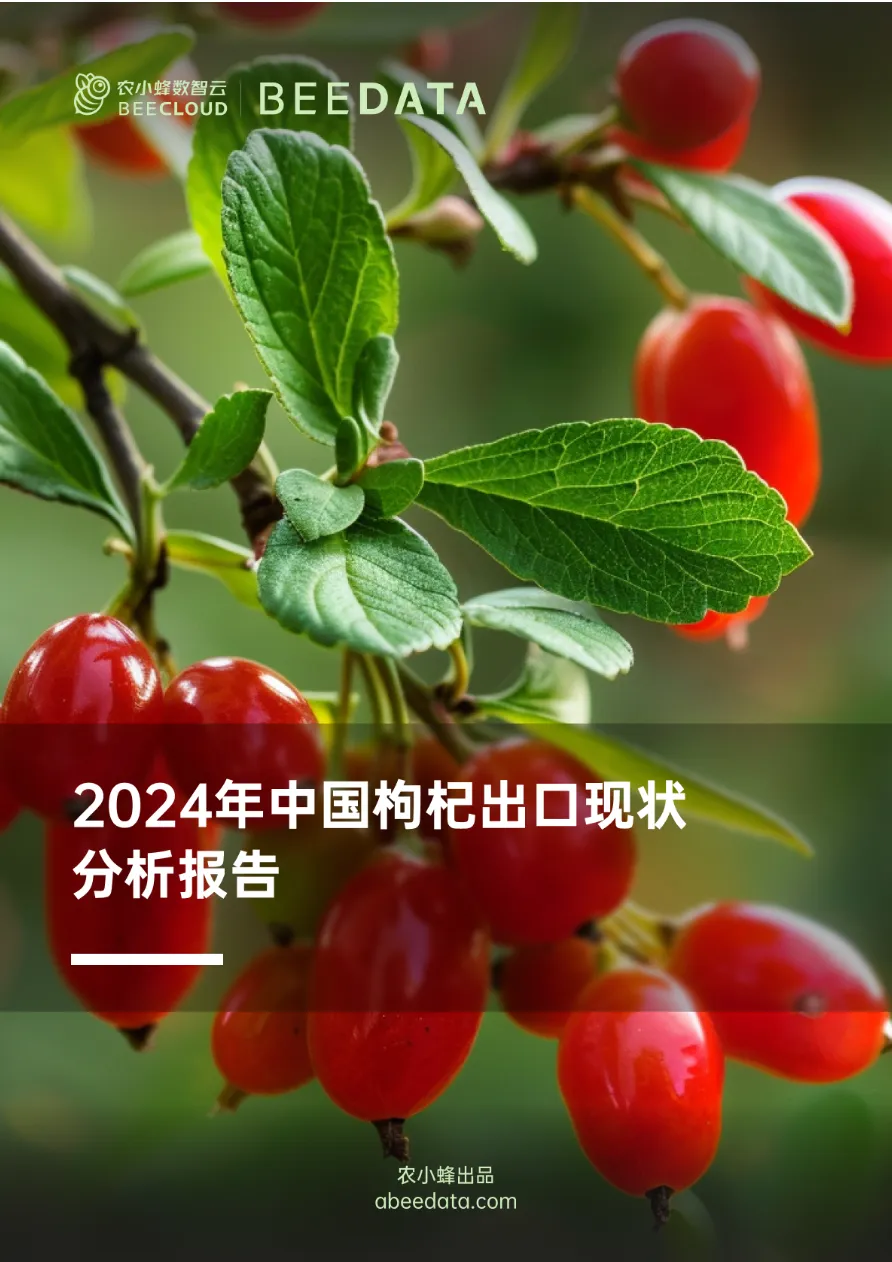 2024年中国枸杞出口现状分析报告_大数跨境