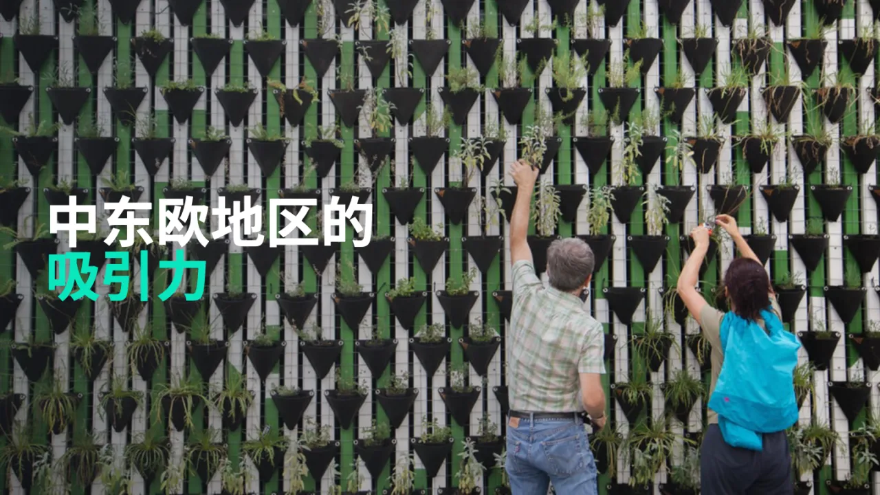 小U出海：中东欧市场分析报告_大数跨境