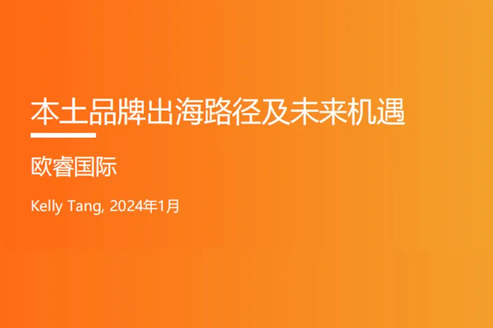 2024年本土品牌出海路径及未来机遇报告