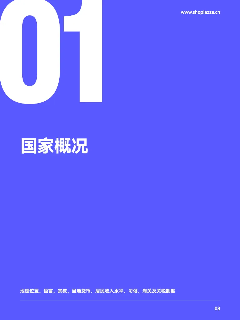 跨境蓝海拉美市场洞察-巴西篇 - 跨境电商报告 - 大数跨境