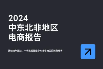 2024中东北非地区电商报告