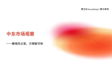 2024中东市场观察报告-静观风云变万物皆可待