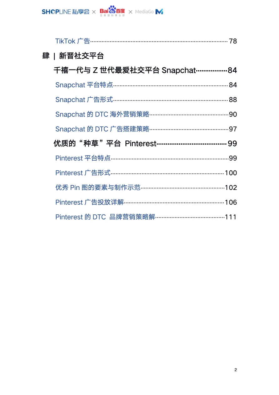 独立站海外社交媒体平台全引流攻略_大数跨境