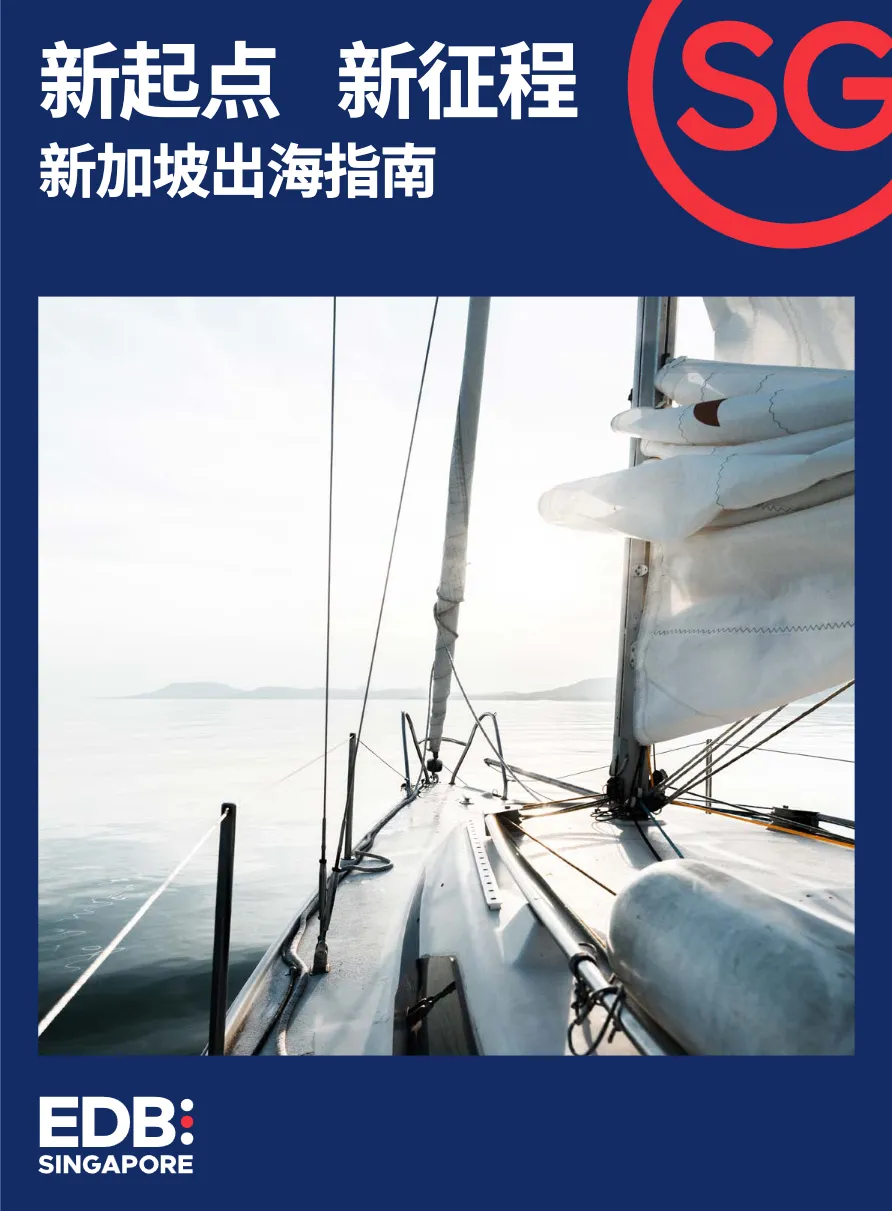 2023新加坡出海指南 - 跨境电商报告 - 大数跨境
