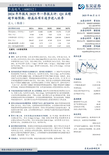 2024年年报及2025年一季报点评:Q1业绩超市场预期,特高压项目逐步进入旺季