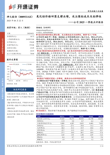 公司2025一季报点评报告：氧化铝价格回落支撑业绩，关注煤铝成长及铝弹性