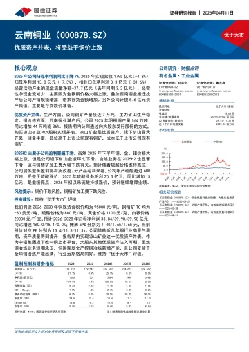 优质资产并表，将受益于铜价上涨