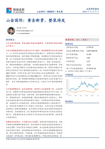 山金国际：黄金新贵，整装待发