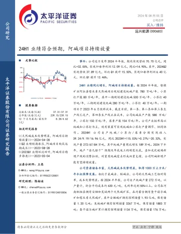 24H1业绩符合预期，阿碱项目持续放量